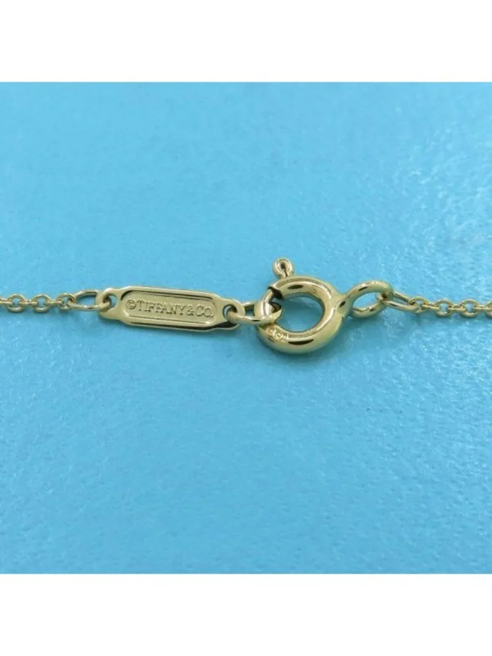 Tiffany & Co Circle Necklace